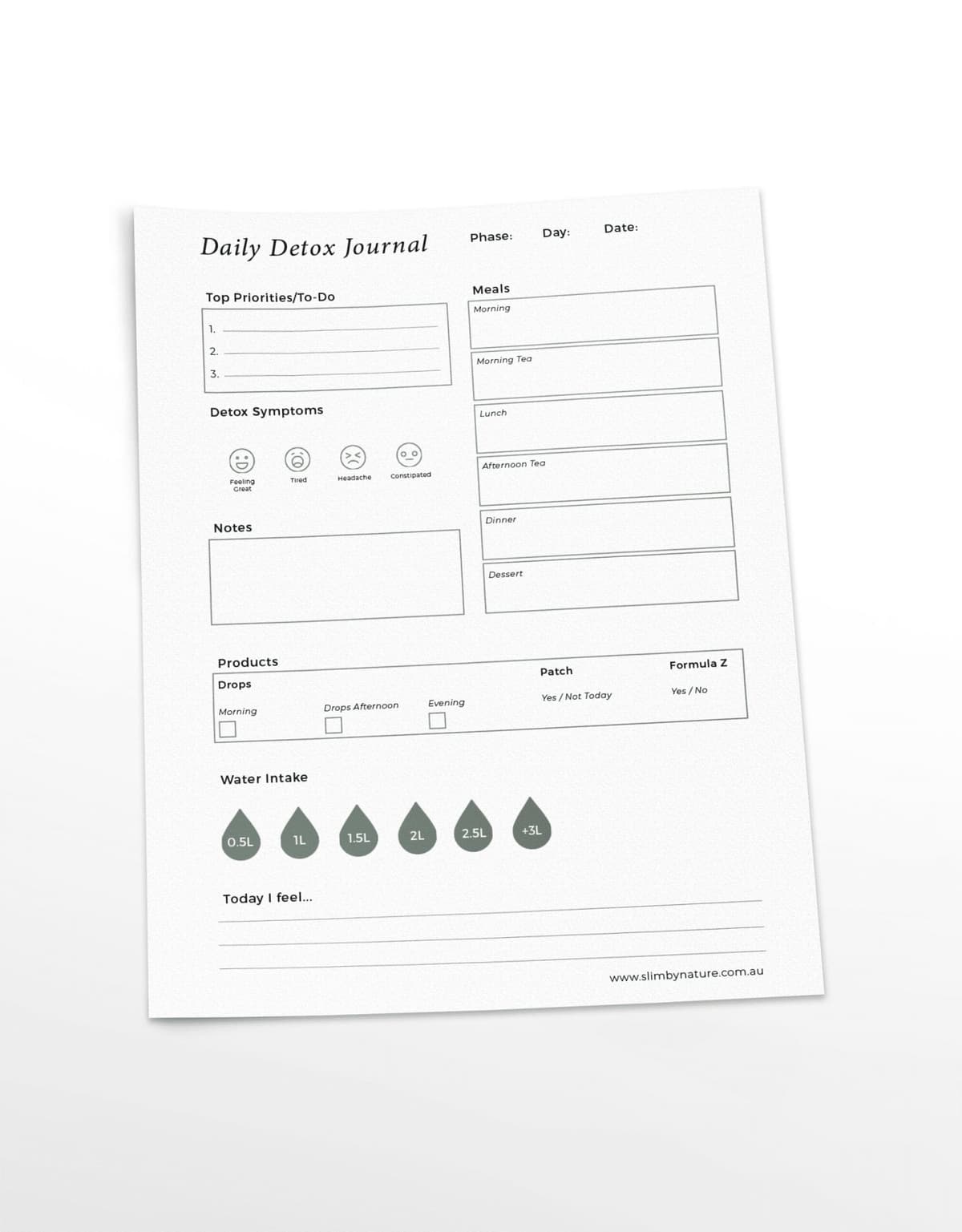 Slim By Nature Daily Detox Journal printable worksheet